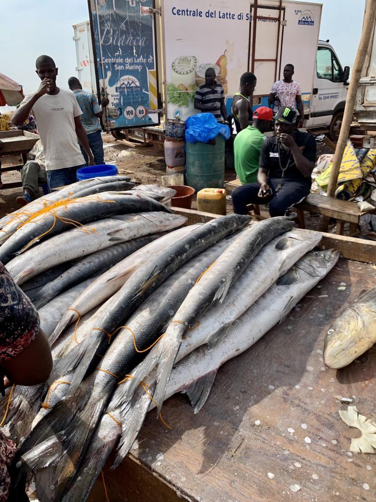 Marché aux poissons à Bissau en Guinée-Bissau, © Durand, Jean-Dominique